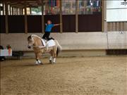 voltitag 2009 _CD2 132